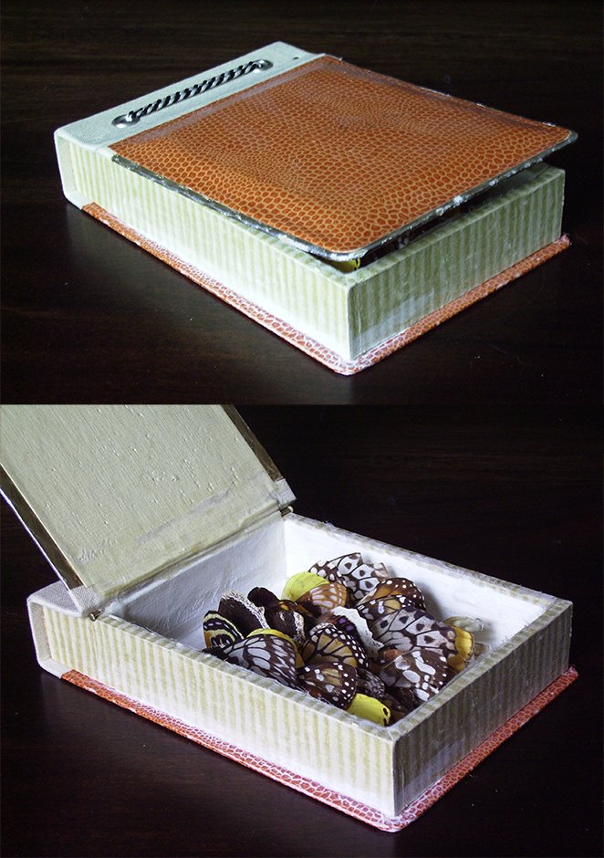 Garderobe für einen Schmetterling